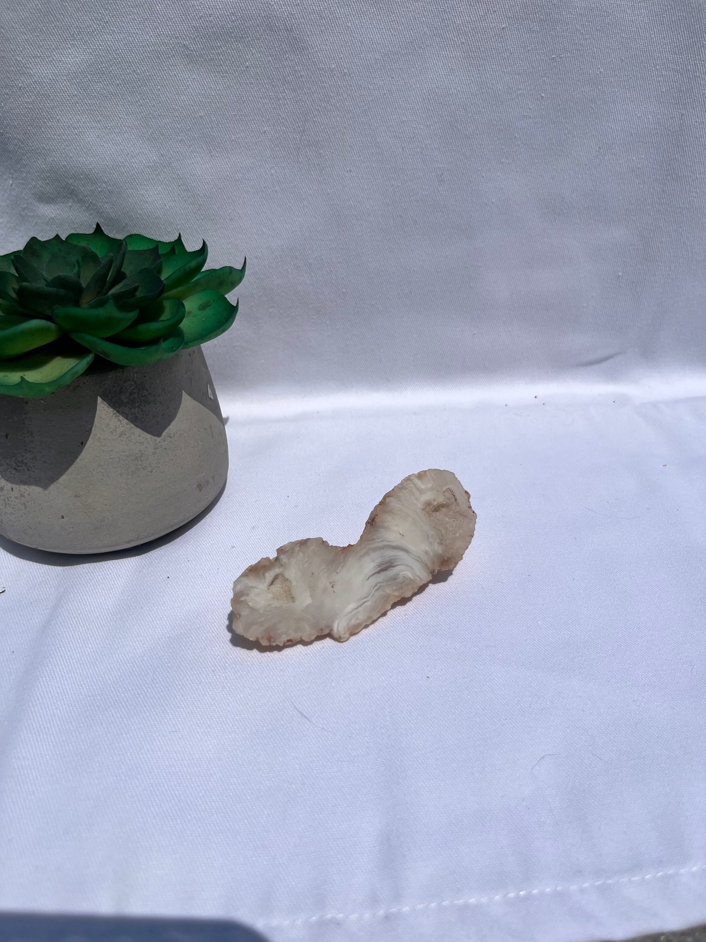 Laguna Agate