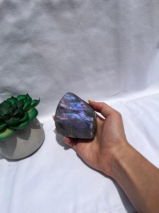 Purple Flash Labradorite Freeform